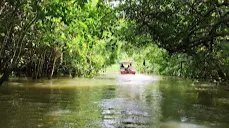 Poovar Backwater Cruise